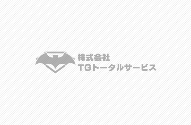 コウモリの危険性とは？駆除方法を紹介