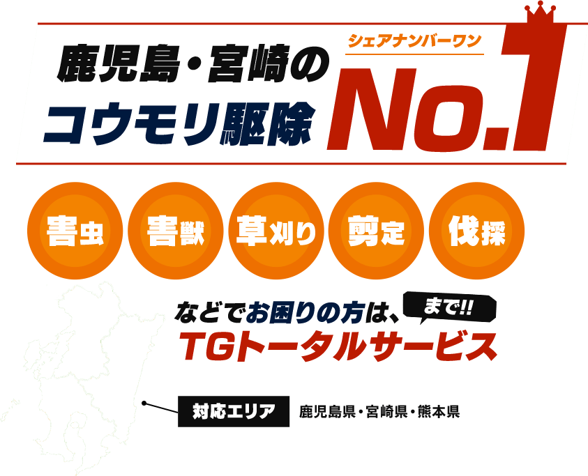 鹿児島・宮崎のコウモリ駆除NO.1 害虫・害獣・草刈り・剪定・伐採 などでお困りの形はTGトータルサービスまで!!